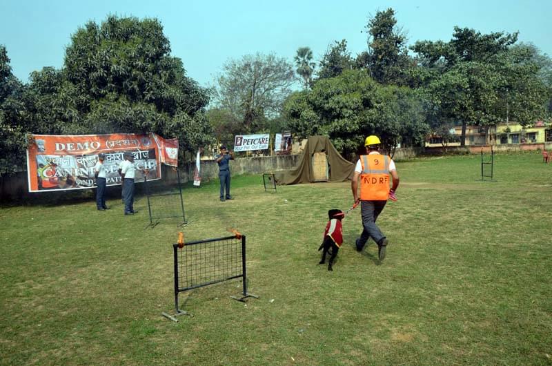 Bihar Animal Sciences University Patna Sports photo 4